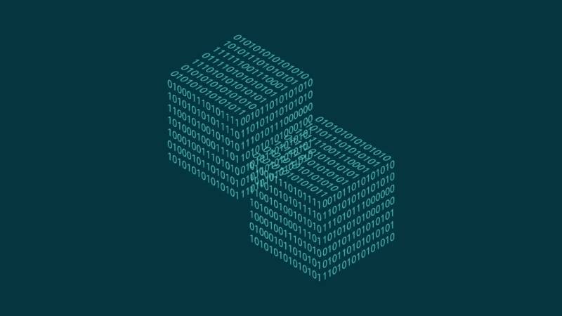 庐阳区信创改造：网络应用开发流程标准化的核心路径与实践